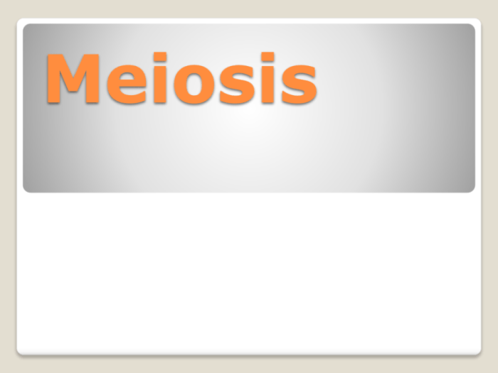 Oh me oh my oh meiosis