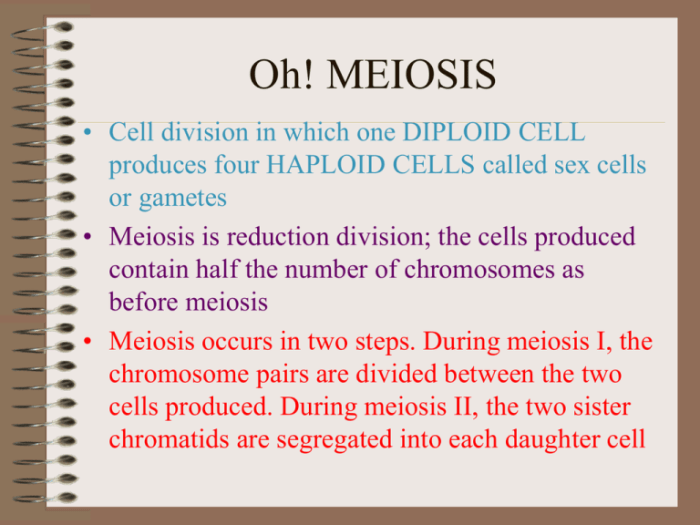 Oh me oh my oh meiosis