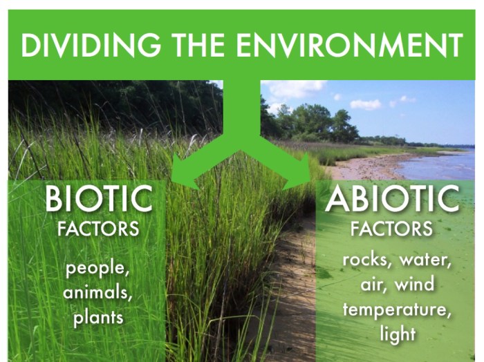 Coral reefs 2 biotic factors