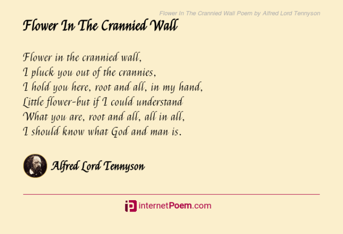 Flower in the crannied wall poem