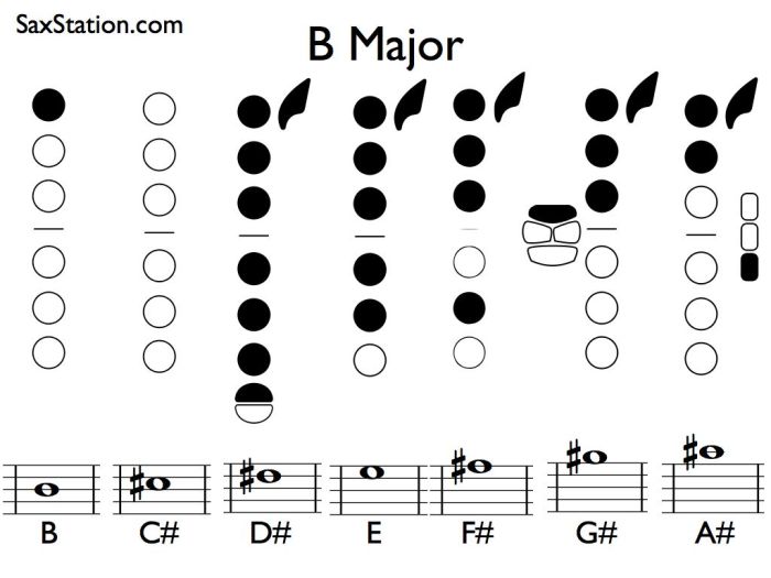 Concert b flat scale alto sax